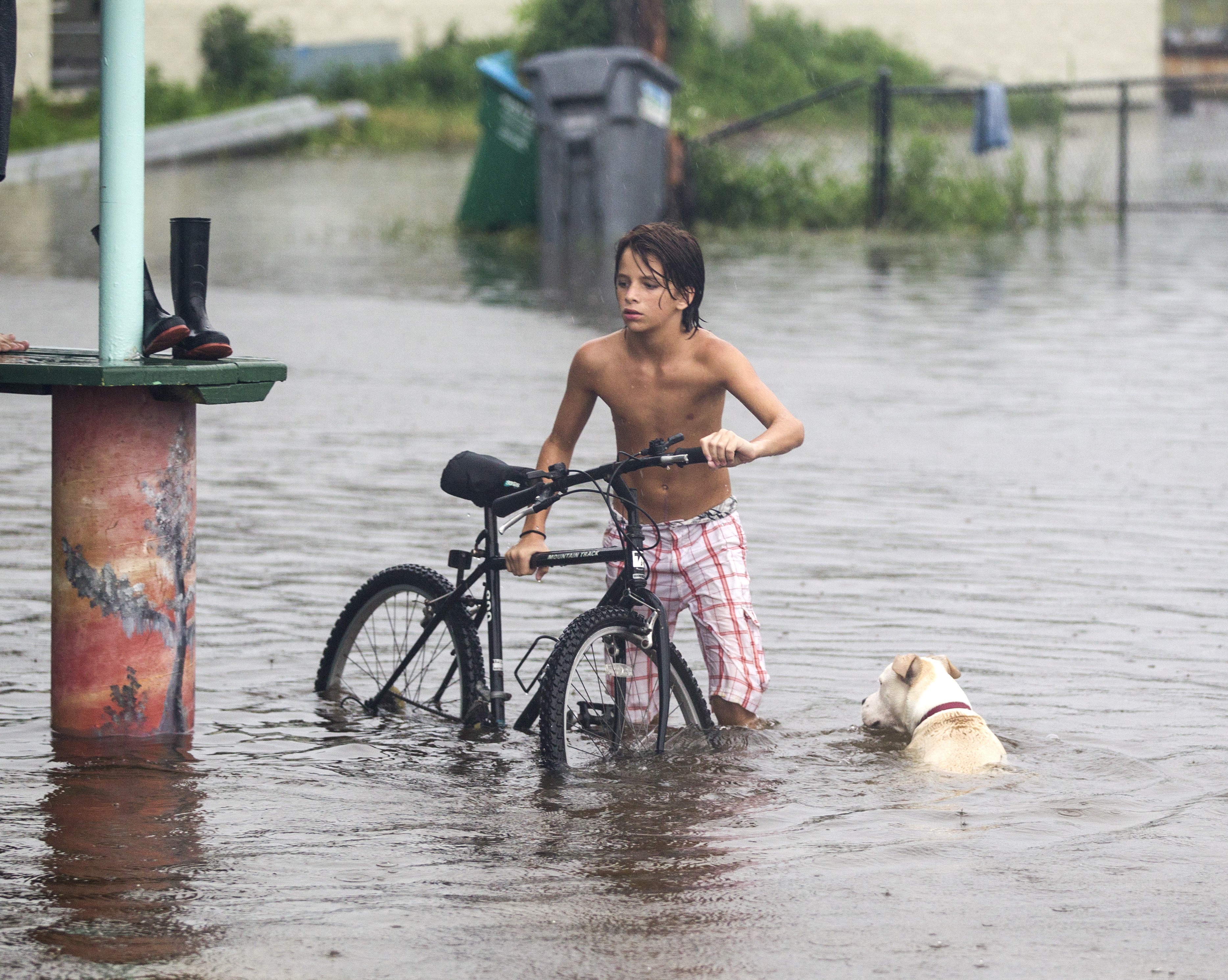 SAINT MARKS, FL - SEPTEMBER 01: A young man and his dog wades in the storm surge from Hurricane Hermaine outside Cooter Stew Cafe on September 1, 2016 in Saint Marks, Florida. Hurricane warnings have been issued for parts of Florida's Gulf Coast as Hermine is expected to make landfall as a Category 1 hurricane.