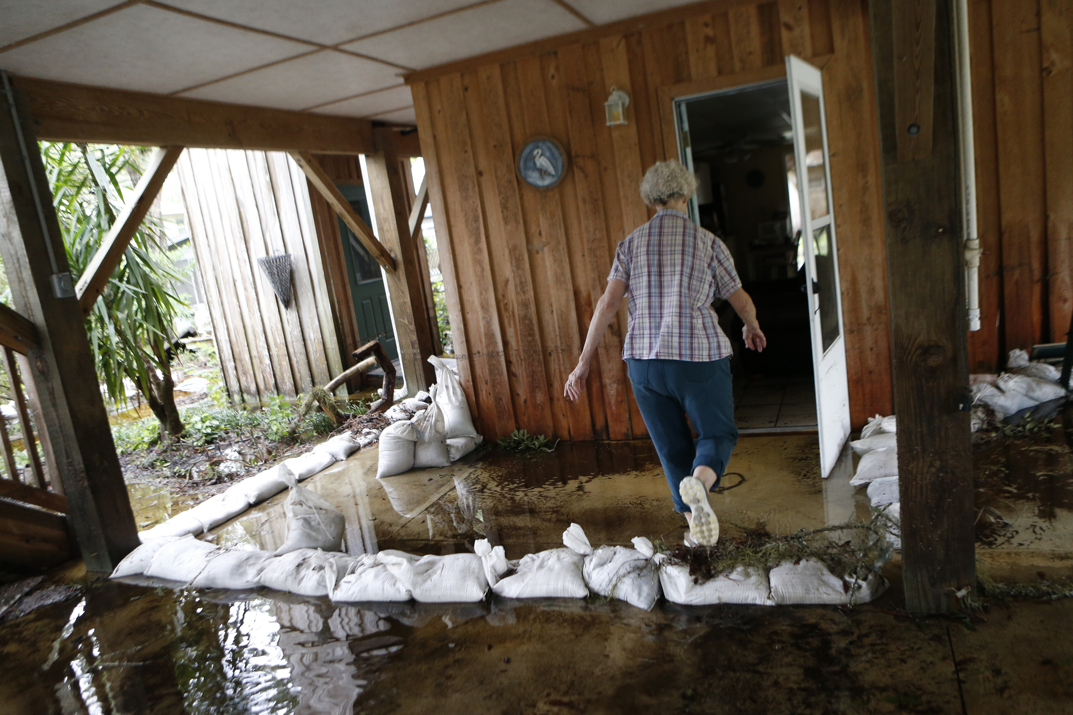 ST MARKS, FL - SEPTEMBER 2: Barbara Carroll surveys damage in and around her home from storm surge associated with Hurricane Hermine which made landfall overnight in the area on September 2, 2016 in St. Marks, Florida. Hermine made landfall as a Category 1 hurricane but has weakened back to a tropical storm.