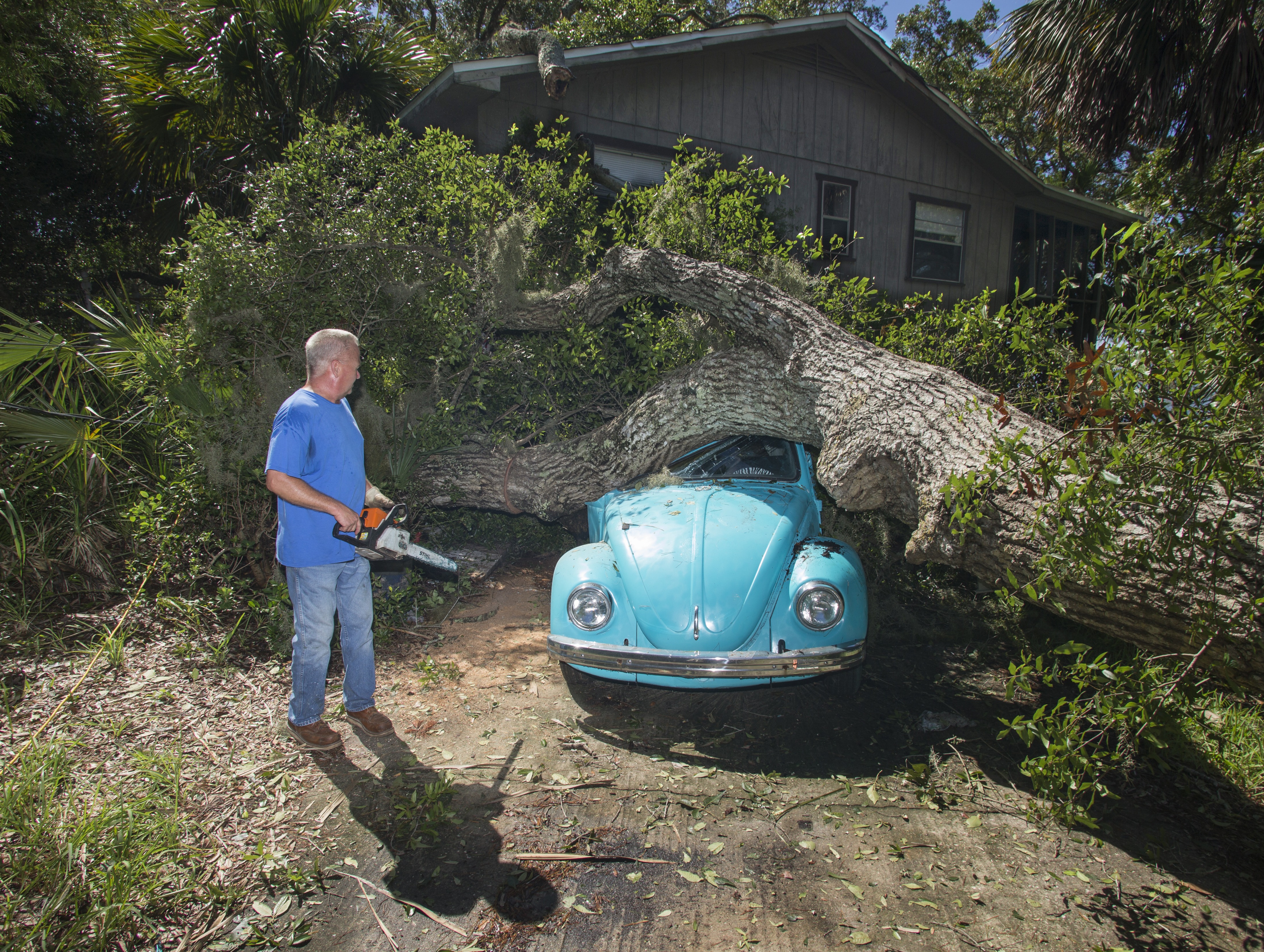 ALLIGATOR POINT, FL - SEPTEMBER 02: Tom Reams looks over a tree on top of his 15 year old daughter's Volkswagen Beetle and house cause by the wind and storm surge from Hurricane Hermine at Alligator Point, Florida September 2, 2016. Hermine made landfall as a Category 1 hurricane but has weakened back to a tropical storm. 