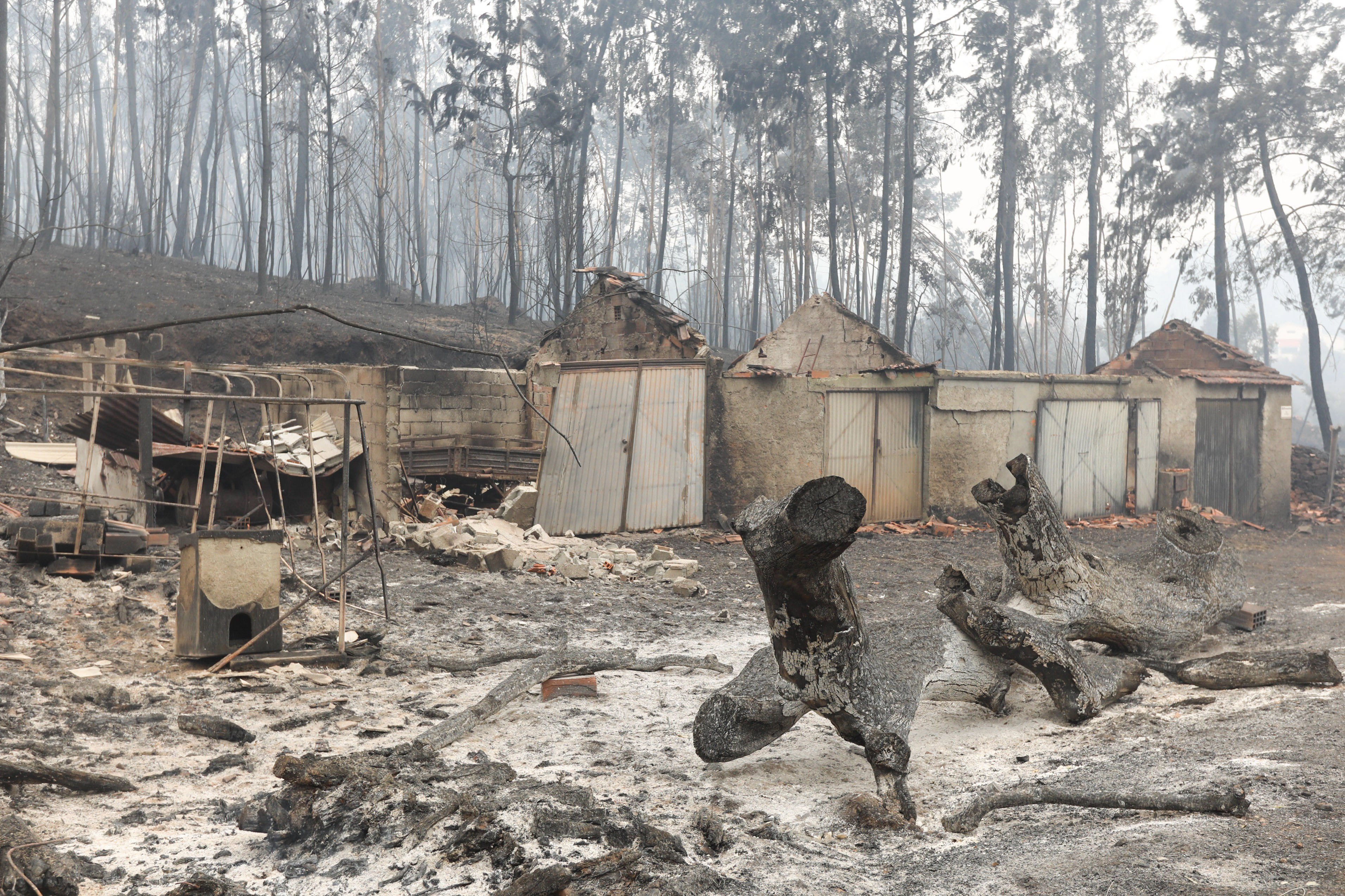 Casas afectadas por el fuego en Nodeirinho, (Portugal).