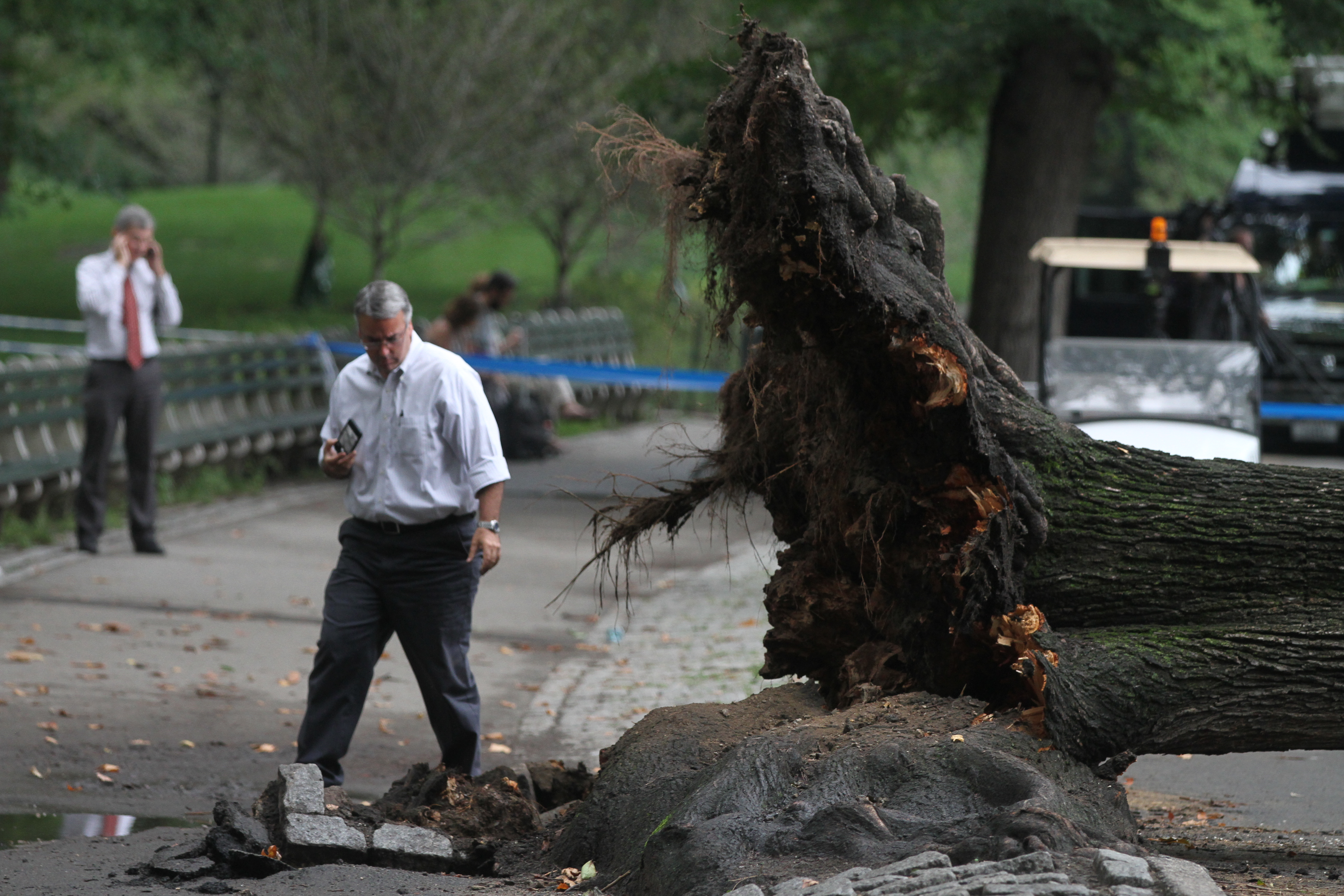 Arbol se desmorono en el Central Park, lastimando un persona adulta y sus hijos.