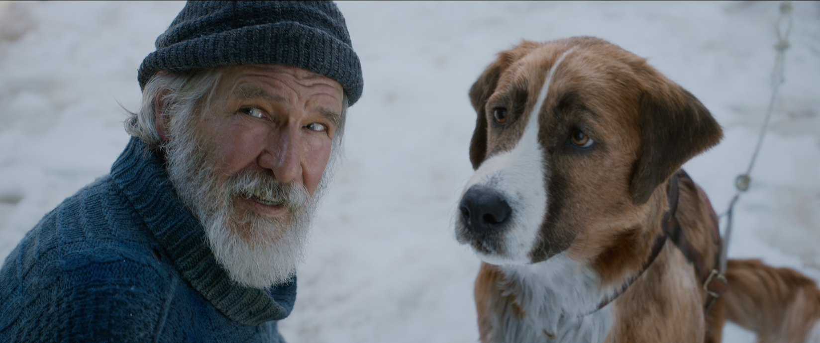 Los perros del film, Buck incluido, están totalmente hechos con computadora.