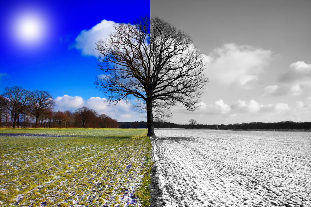 colores gris