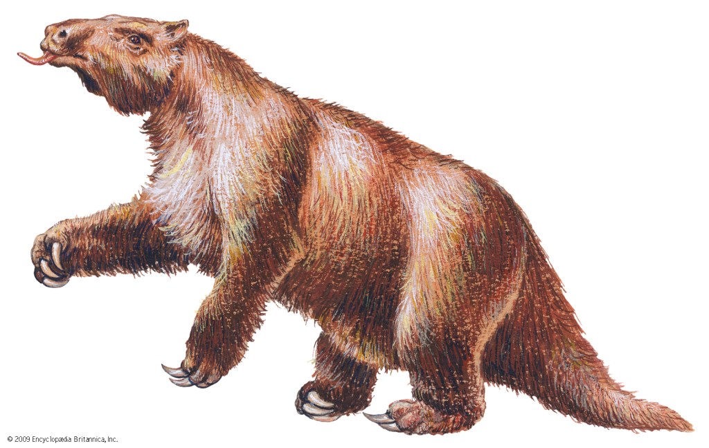 Dibujo del mapinguari (megatherium) en la Enciclopedia Británica.