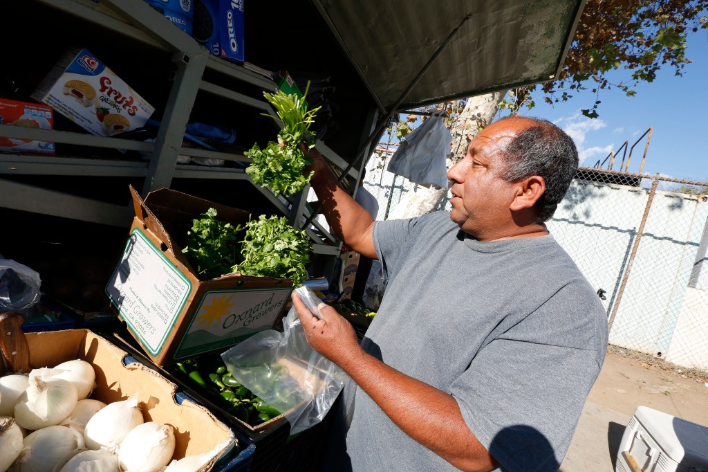 Rene Soto, residente de Ramona Gardens, compra cilantro en la camioneta de alimentos de Don Trino. /AURELIA VENTURA