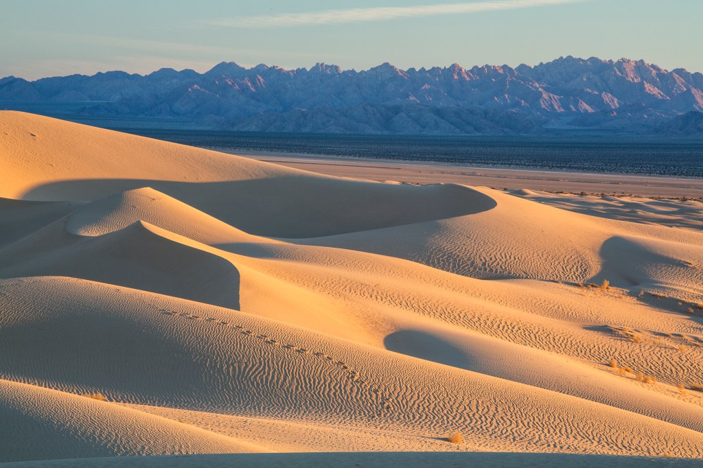 Mojave Desert Trails, monumento nacional en California.