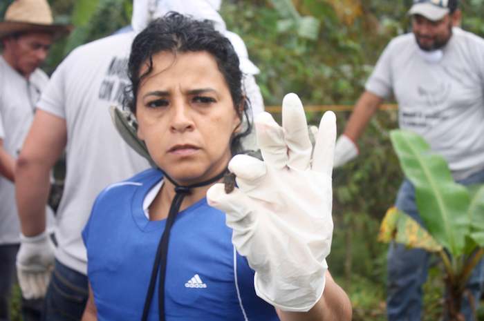 Los hallazgos de restos humanos fueron descartados en un inicio por la Fiscalía de Veracruz, posteriormente reculó.