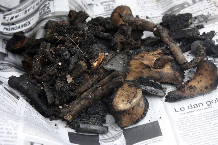 Una denuncia anónima permitió localizar más de 300 piezas óseas humanas. 