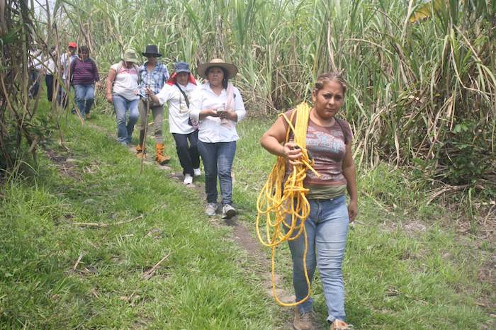 Activistas y familias de desaparecidos en busca de restos en Veracruz.