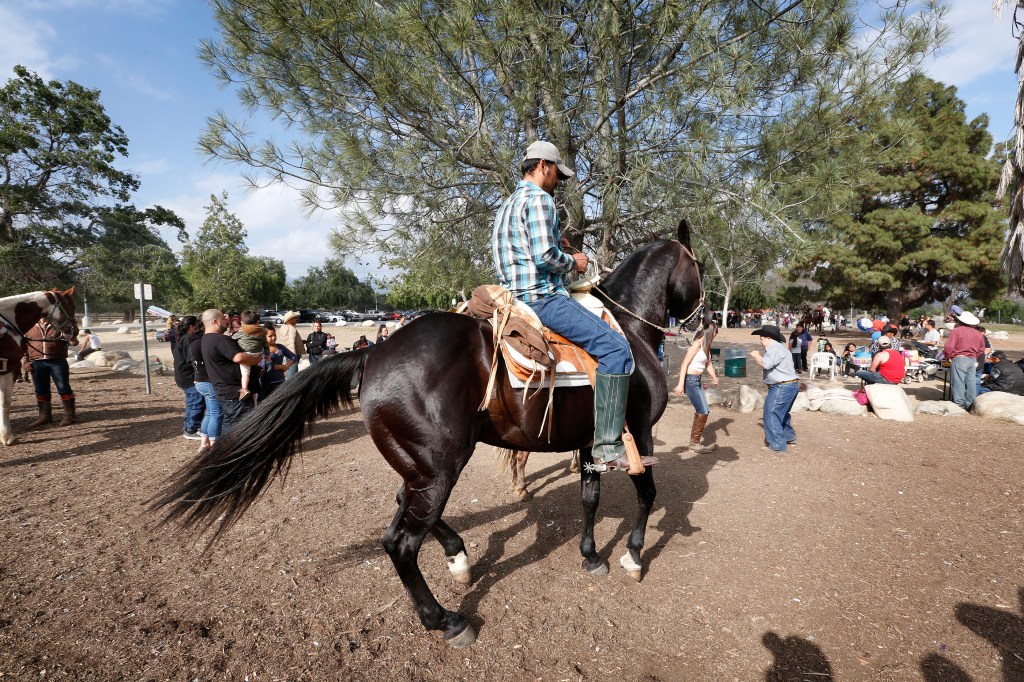 05/15/16/SYLMAR/Hundreds of Latino families gather at the Hansen Dam in Sylmar every weekend to enjoy horseback riding, music and other festivities. (Photo Aurelia Ventura/ La Opinion)