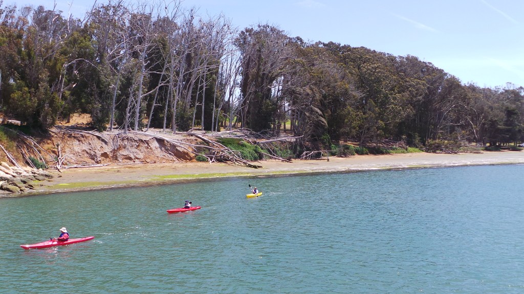 Kayaking es una de las múltiples actividades que ofrece el Morro Bay Adventure Pass.