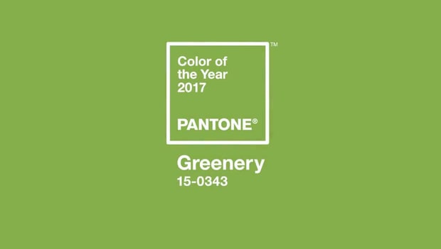 De acuerdo con Pantone, este verde irrumpe en el 2017 como un color de esperanza ante el panorama sociopolítico que se proyecta. 