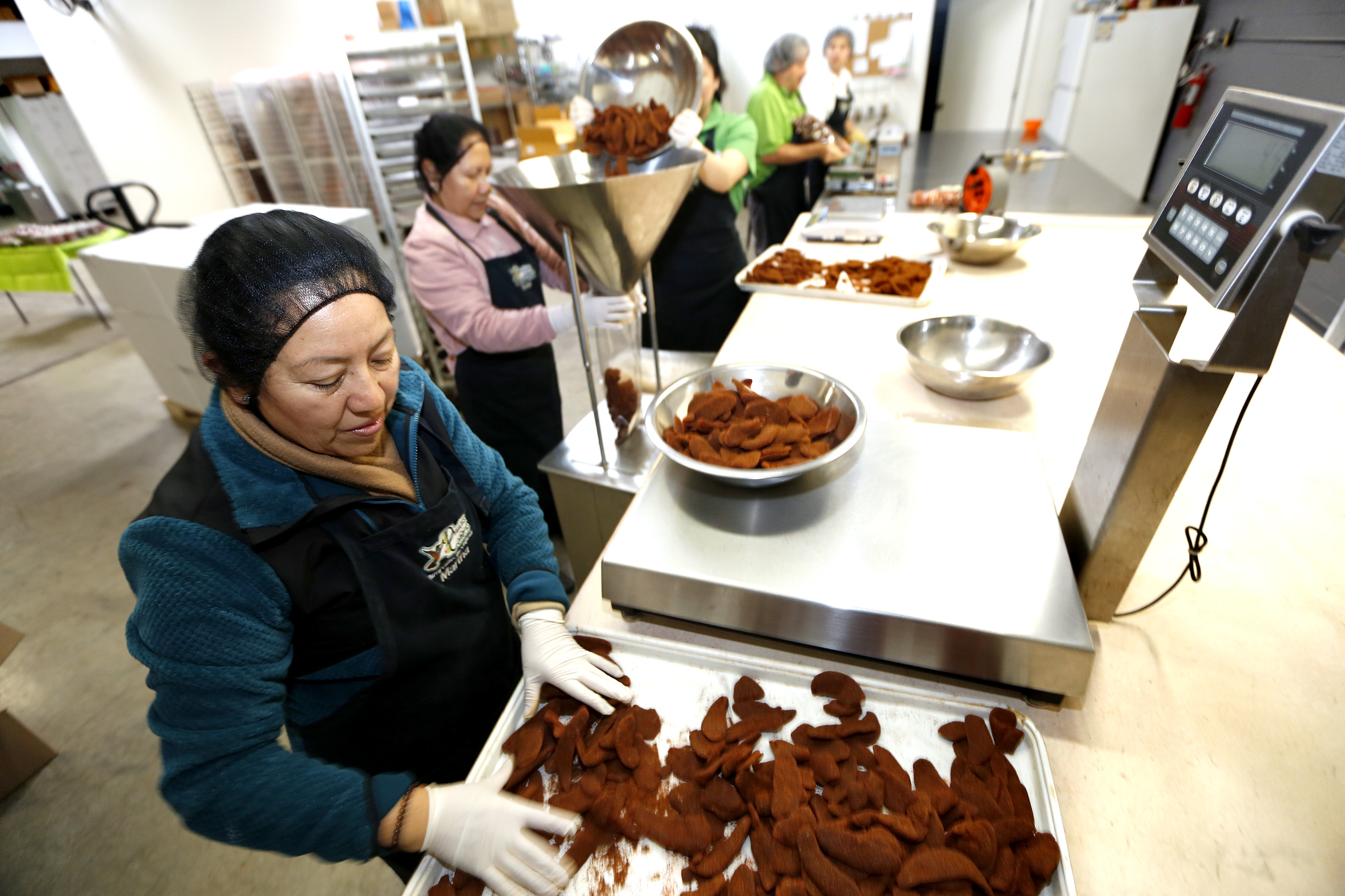02/08/17/ LOS ANGELES/ Entrepreneur immigrant family, Ignacio Viramontes with his wife Martha, and children Ignacio Jr., 29, Yazmin, 23, and Uriel, 21, and sister in law, Silvia Perez package the popular candy, mango slices coated with chili, at their factory in Gardena. (Photo Aurelia Ventura/ La Opinion)