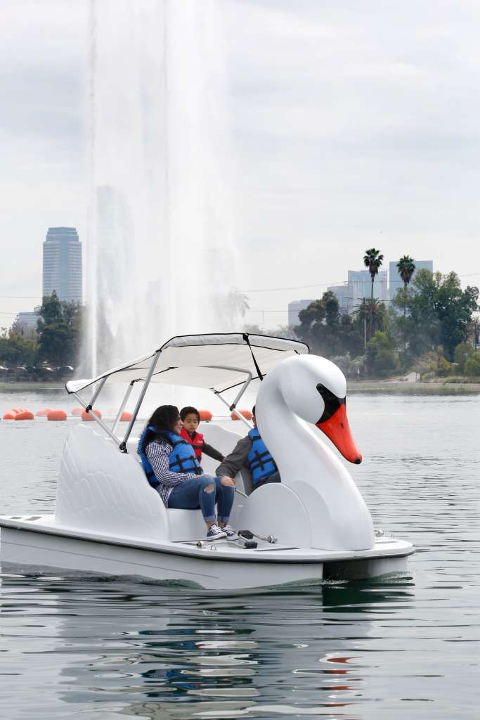 Botes estilo cisne se pueden alquilar en Echo Park y Lake Balboa. (Aurelia Ventura/La Opinion)