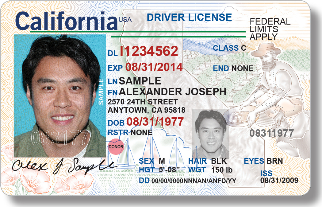 Licencia de manejo no apegada a los requisitos del la ley Real ID. (Foto suministrada DMV).