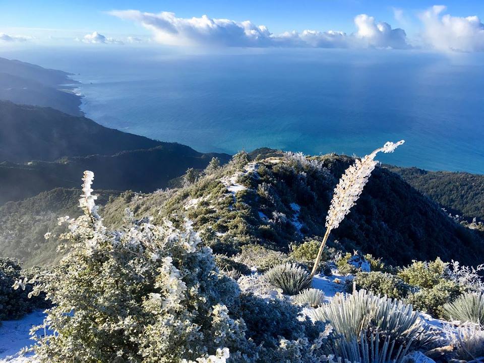 NWS SAN FRANCISCO/FACEBOOK